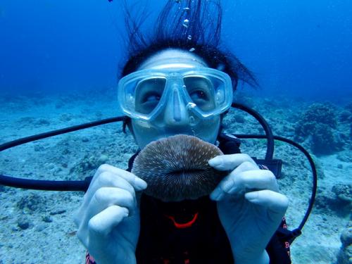 サイパン ダイビング