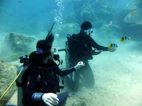 サイパン 体験ダイビング