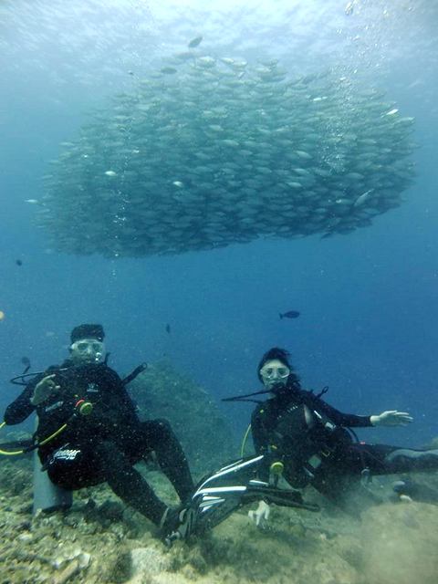 サイパン ダイビングライセンス