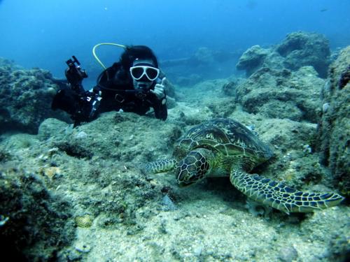 サイパン 体験ダイビング