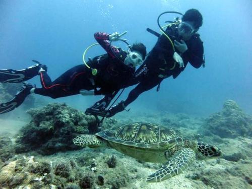 サイパン 島内観光