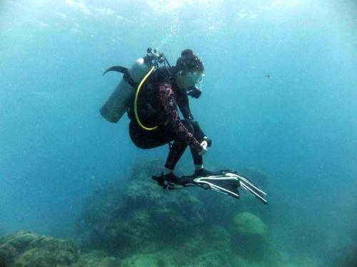 サイパン ダイビング