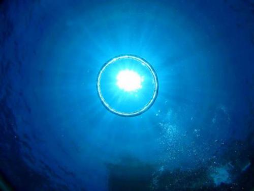 サイパン ダイビング