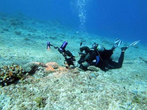サイパン 体験ダイビング