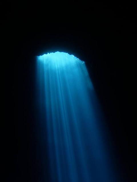 サイパン ダイビングライセンス