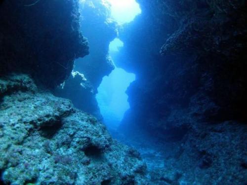 サイパン 体験ダイビング