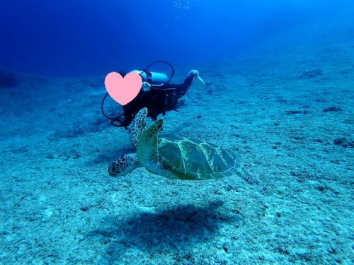 サイパン 島内観光