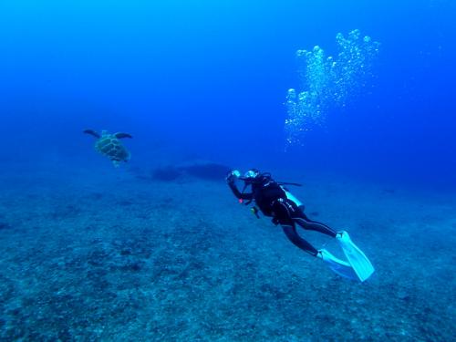 サイパン ダイビング