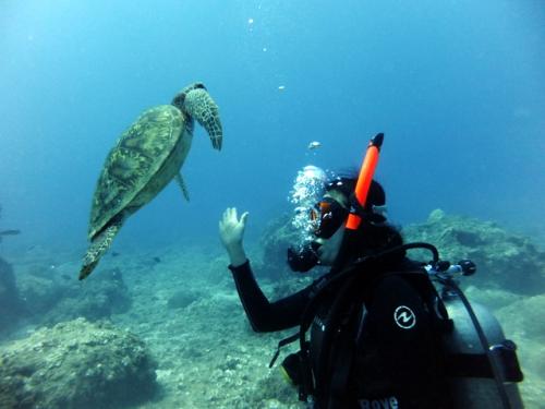 サイパン ダイビングライセンス