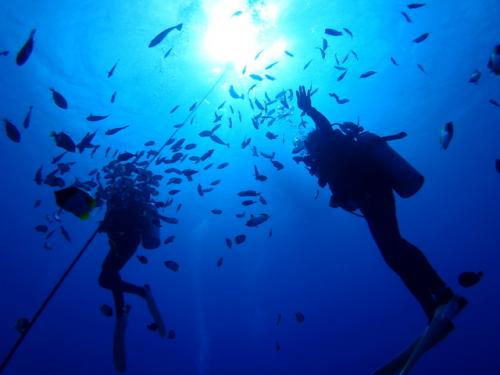 サイパン グロットシュノーケル