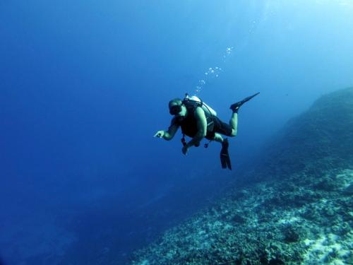 サイパン ダイビングライセンス