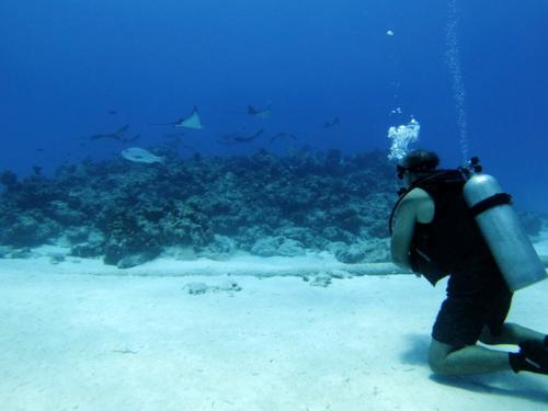 サイパン 島内観光