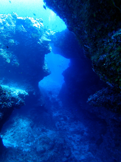 サイパン ダイビング