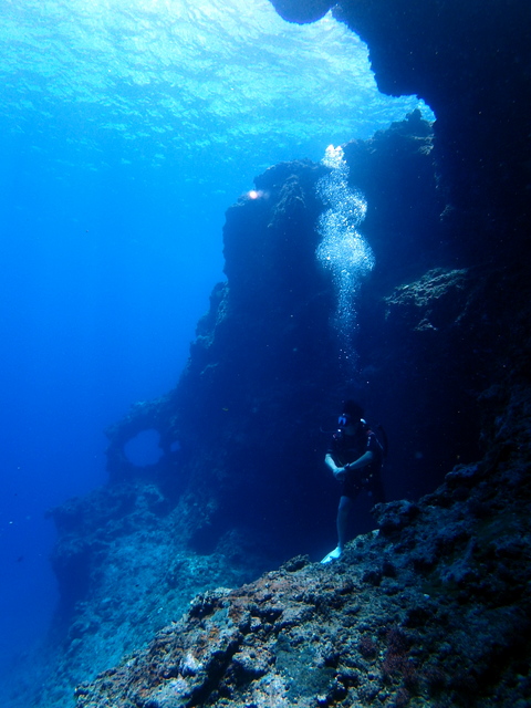 サイパン ダイビング