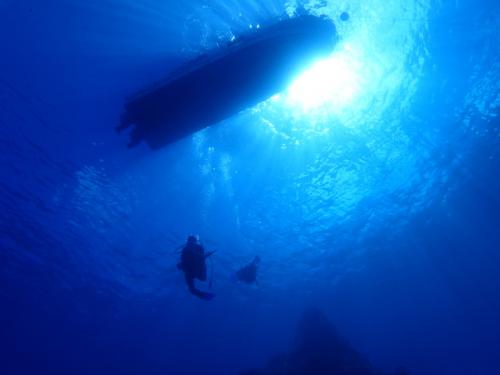 サイパン ダイビングライセンス