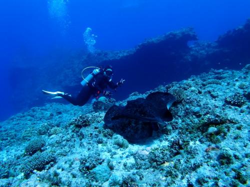 サイパン ダイビング