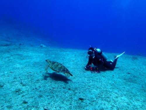サイパン 島内観光