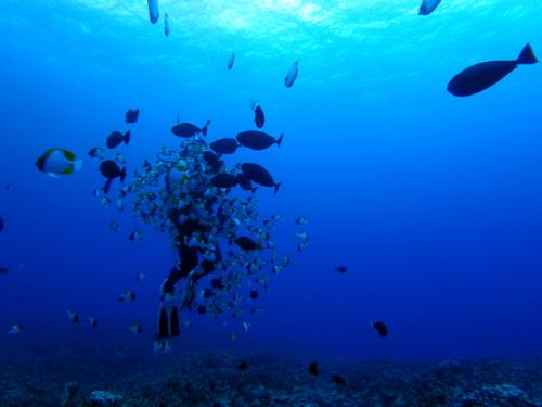 サイパン 島内観光