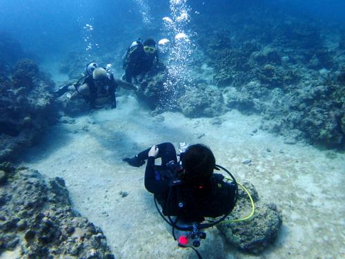 サイパン 体験ダイビング
