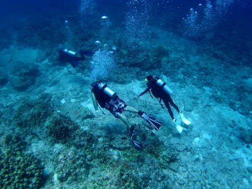 サイパン 体験ダイビング