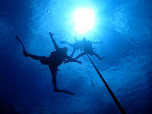 サイパン ダイビングライセンス