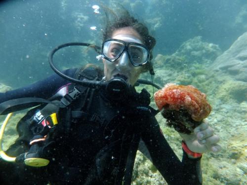 サイパン 体験ダイビング