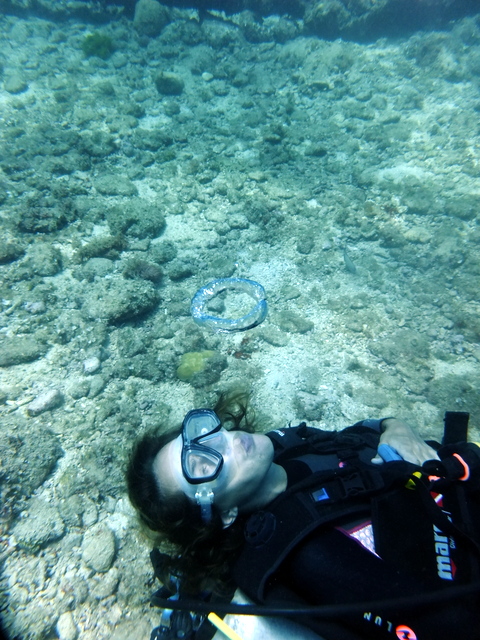 サイパン ダイビング