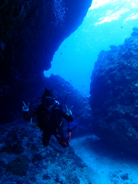 サイパン ダイビング