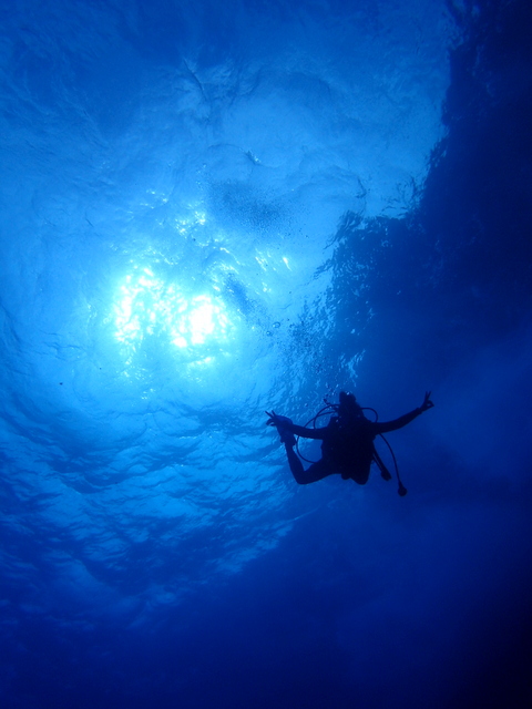 サイパン ダイビングライセンス