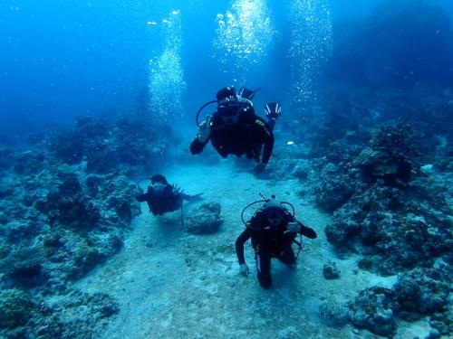 サイパン 体験ダイビング