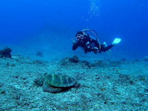 サイパン ダイビング