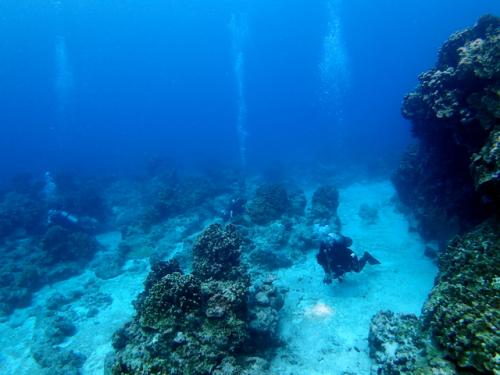サイパン 体験ダイビング