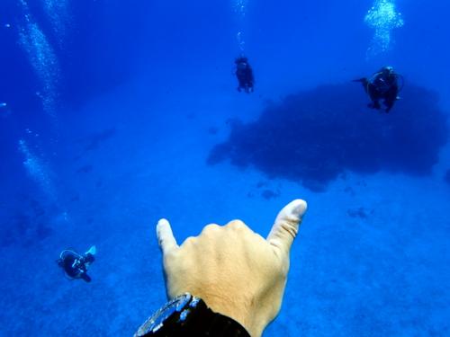 サイパン ダイビング