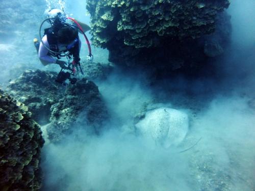 サイパン 体験ダイビング