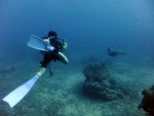 サイパン ダイビングライセンス