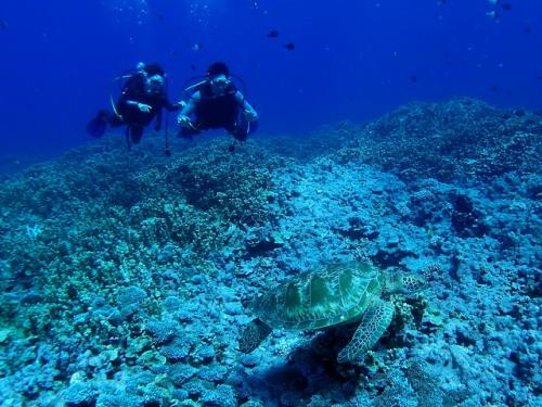 サイパン ダイビングライセンス