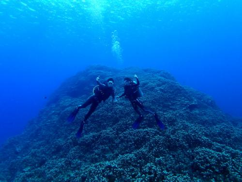 サイパン 体験ダイビング