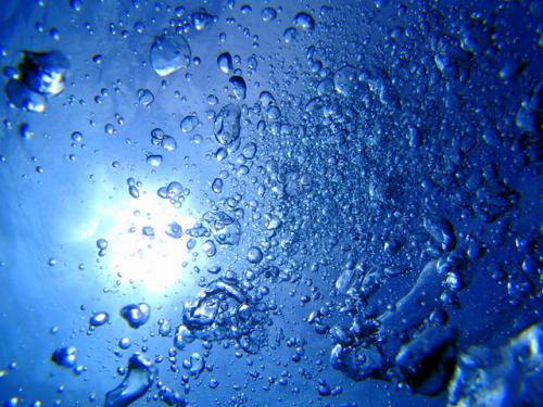 サイパン ダイビングライセンス