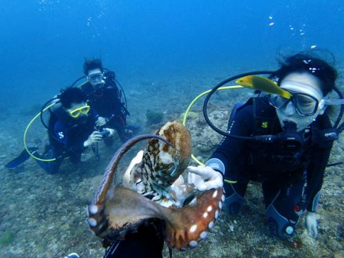 サイパン 島内観光