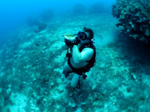 サイパン グロットシュノーケル