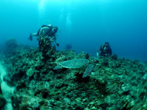 サイパン 島内観光