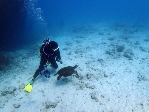 サイパン ダイビングライセンス