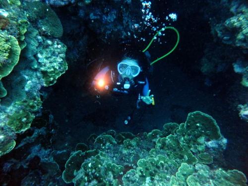 サイパン ダイビング