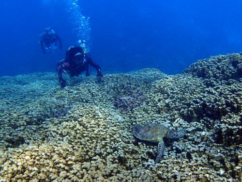 サイパン 体験ダイビング