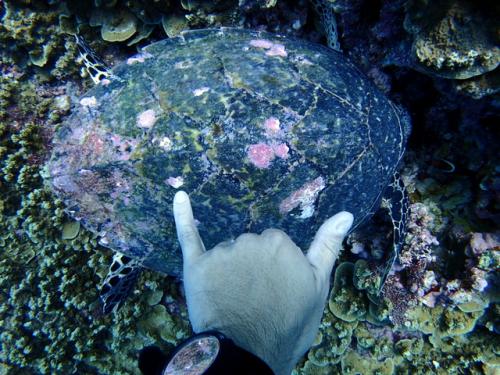 サイパン 島内観光