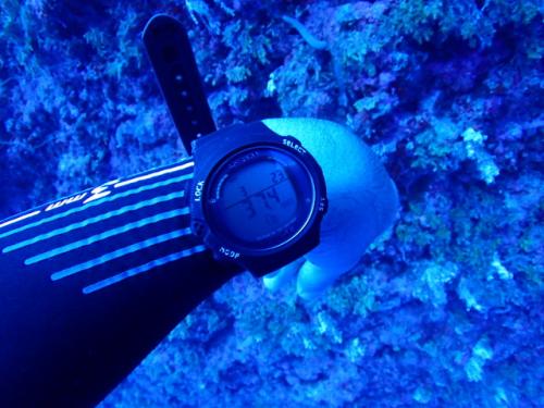 サイパン 体験ダイビング