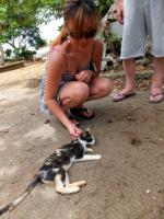 サイパン グロットシュノーケル