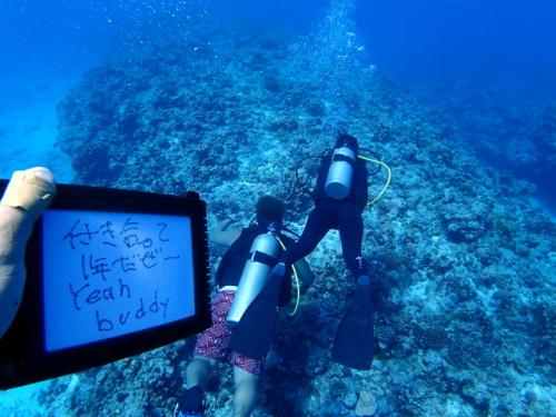 サイパン 体験ダイビング