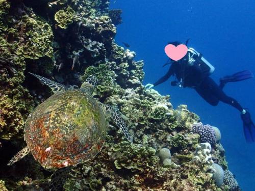 サイパン グロットシュノーケル