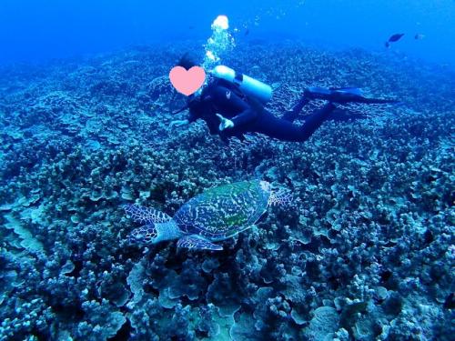 サイパン ダイビング